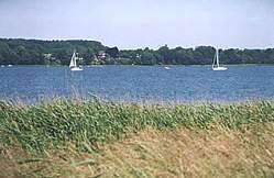 Schlei