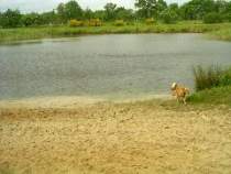 Urlaub in Ostfriesland