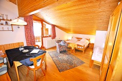 Appartement Alpenveilchen