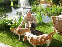 Hunde sind willkommen