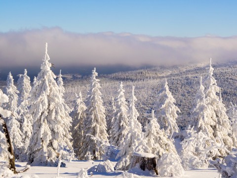 Winterwunderland im Böhmerwald - Frank Bogner