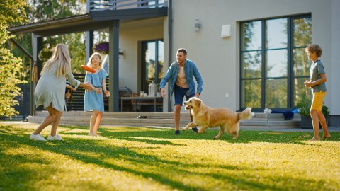 Beschreibungstext für hundefreundliche Ferienunterkünfte