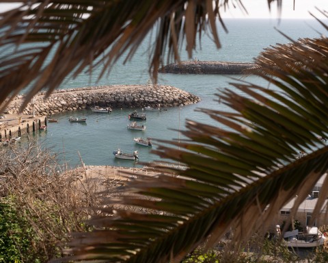 Urlaub an der Algarve mit Hund
