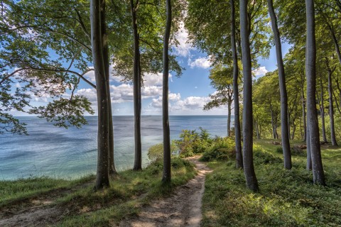 Wandern im Nationalpark Jasmund auf der Insel Rügen_ Mirko Boy