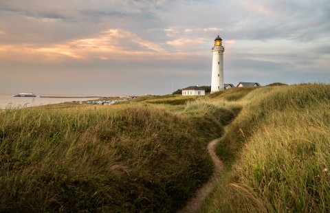 Urlaub in Dänemark mit Hund