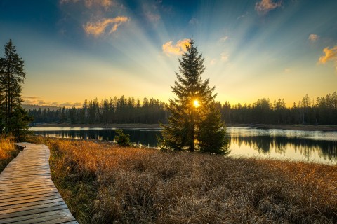 Sonnenuntergang im Harz_Stefan Kaulbarsch