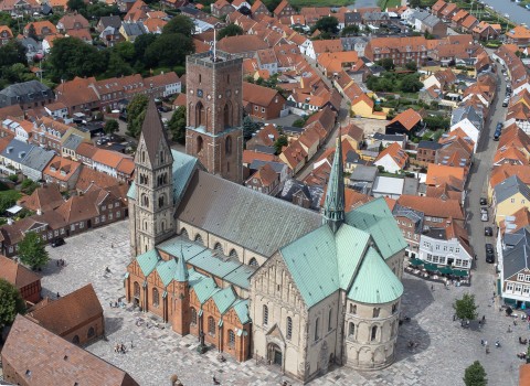 Ferienhausurlaub mit Hund in Ribe