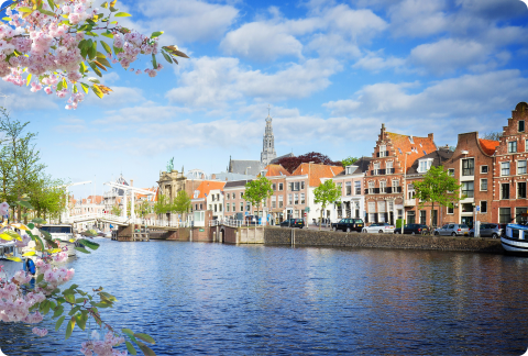 Haarlem - neirfy