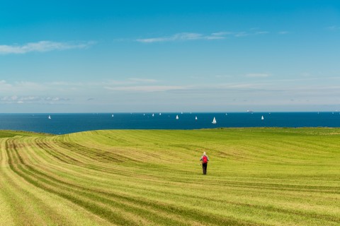 Wanderurlaub mit Hund an der Ostsee