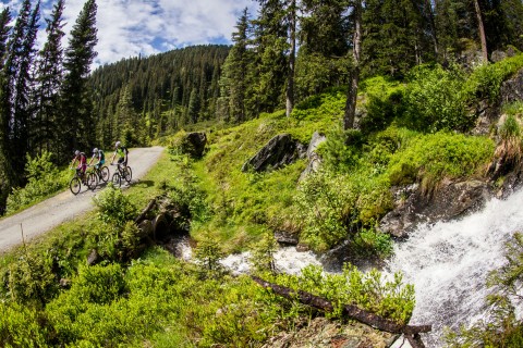 Mountain_biken_Erwin_Haiden_49396-lpr