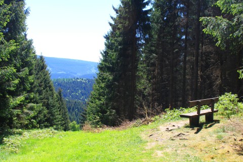Wanderurlaub im Harz mit Hund