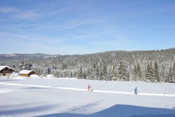althaus_pension4