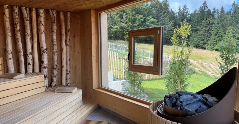 Aussicht_aus_der_finnischen_Sauna_1.1