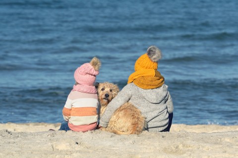 Hund und Kinder an der Ostsee - Jenny Sturm