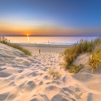 Ferienhäuser in Zeeland mit Hund