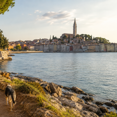 Mit Hund an Istriens Adriaküste