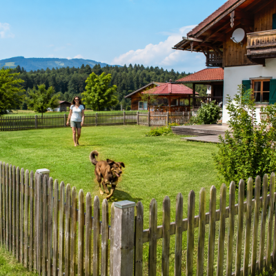 Hundespaß im Garten