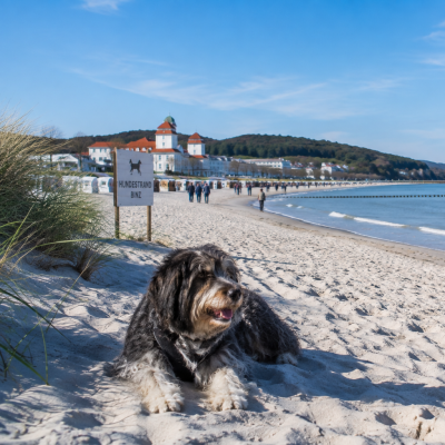 Hundestrand Binz