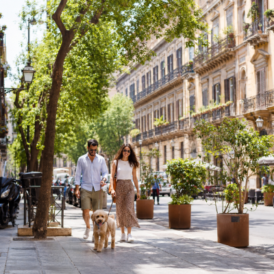 Entspannter Hundeurlaub in der Palermo-Altstadt