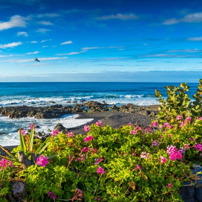 Ferienwohnungen auf Teneriffa
