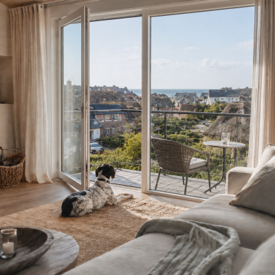 Hund genießt die Aussicht