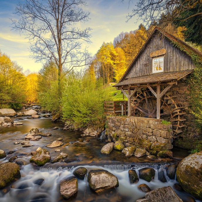 Wassermühle im Schwarzwald_AdobeStock_202390543