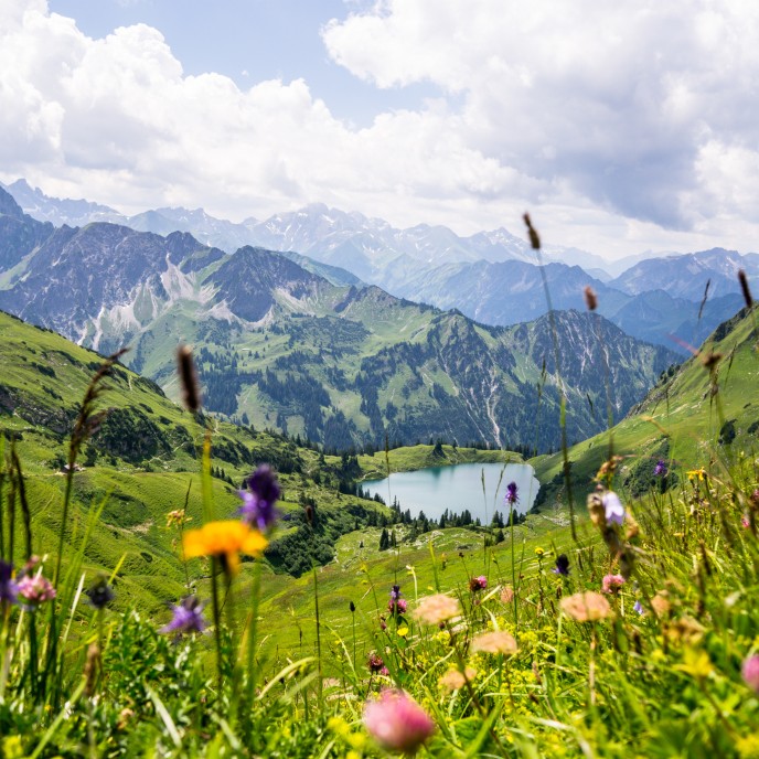 Seealpsee in Oberstdorf_AdobeStock_229906533