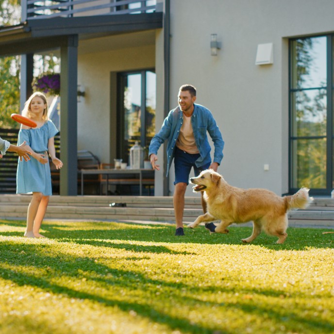 Beschreibungstext für hundefreundliche Ferienunterkünfte