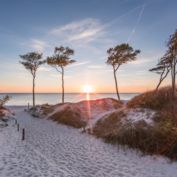 Rügen_Binz_AdobeStock_271916751