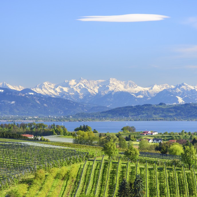 Blick über den Bodensee auf die Alpen_AdobeStock_159615588