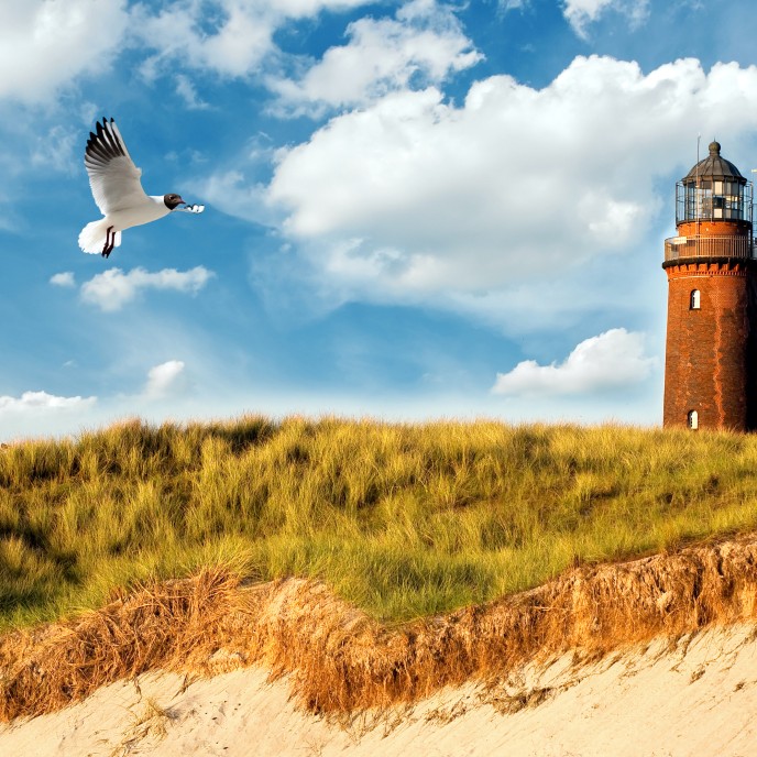 Leuchtturm in Prerow_AdobeStock_11810447