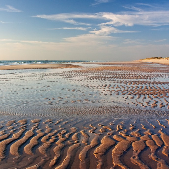 Watt am Sylter Weststrand_AdobeStock_56295299