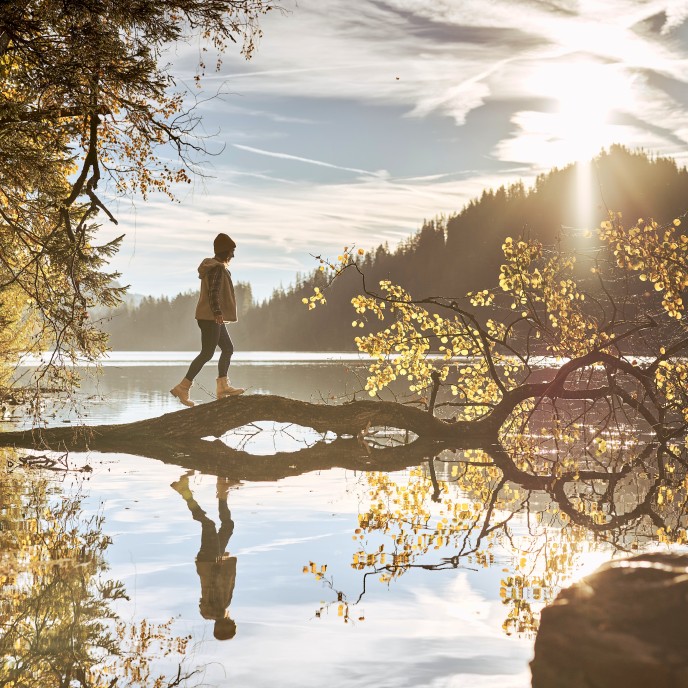 Wilder Kaiser Natur - (c) Stefan Leitner