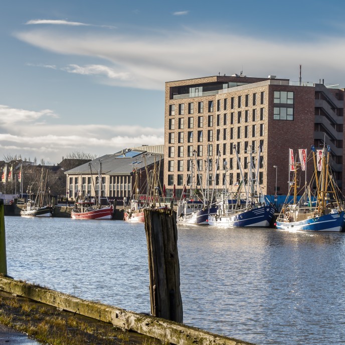 Fischereihafen in Cuxhaven_AdobeStock_241757189