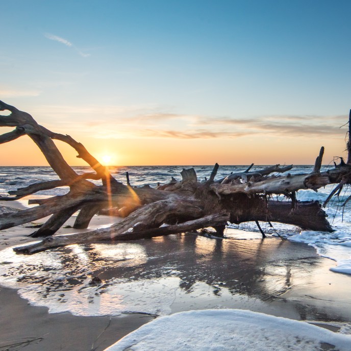 Naturstrand an der Ostsee_AdobeStock_314348318
