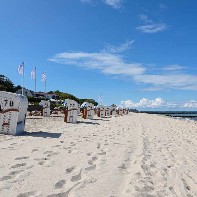 Strandkörbe am Strand von Kühlungsborn_AdobeStock_204137449