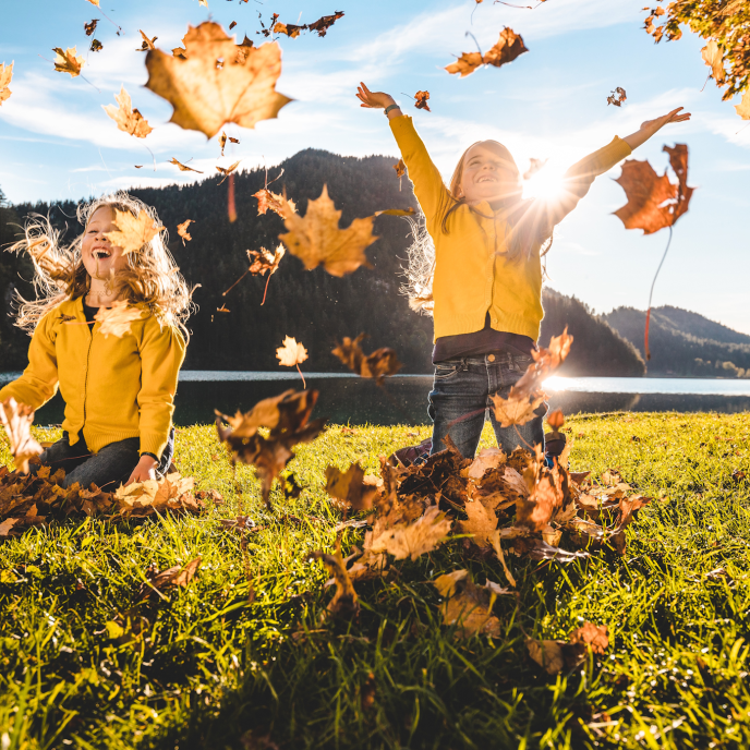 Wilder Kaiser Herbst - (c) Gartner Mathäus