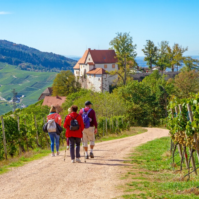 Wanderung zum Schloss Staufenberg_AdobeStock_226760721