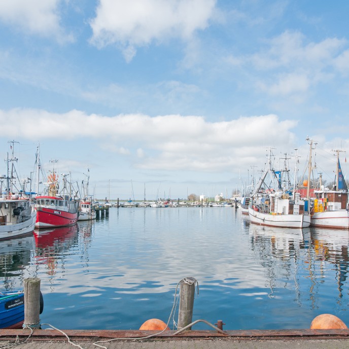 Hafen in Burg auf Fehmarn_AdobeStock_186844032