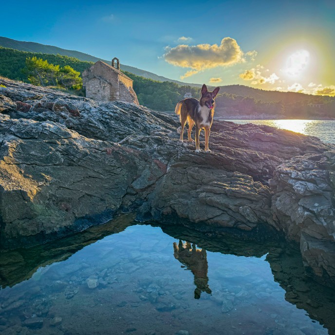 Urlaub mit Hund auf Hvar in Kroatien