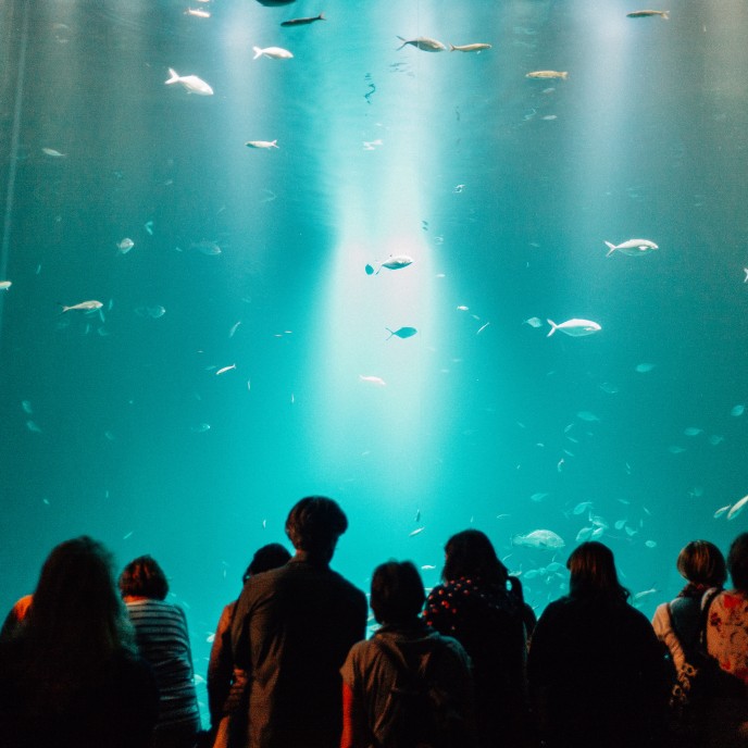 Qzeaneum in Stralsund_AdobeStock_222379881