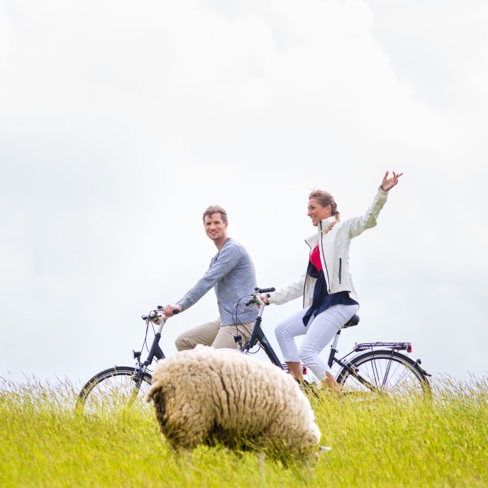 Radtour auf dem Deich_AdobeStock_67969437