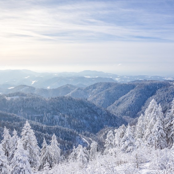 Der Harz zu Weihnachten_pure-life-pictures_Fotolia_73129283_S