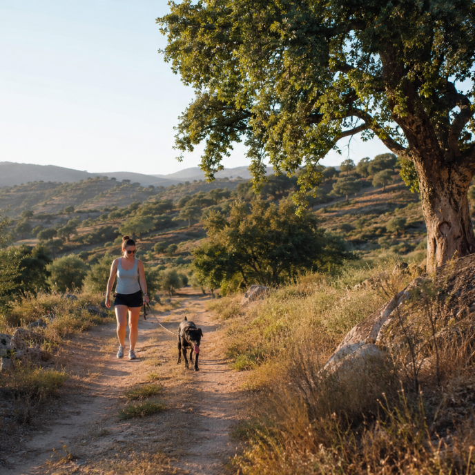 Landschaft in Sardinien