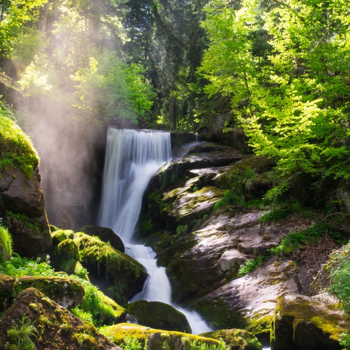 Wasserfall bei Triberg im Schwarzwald_AdobeStock_156575042