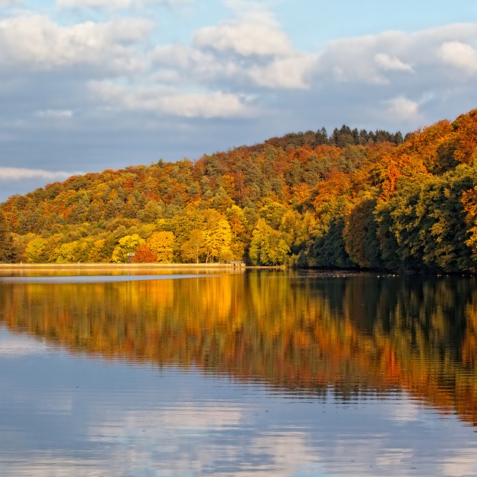 Harz_dk-fotowelt_Fotolia_47786017_M